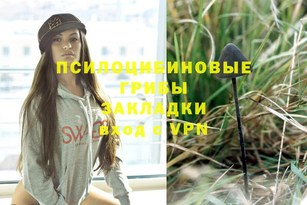 хмурый Балахна