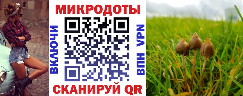 blacksprut ссылки  Мосальск  Галлюциногенные грибы Magic Shrooms 